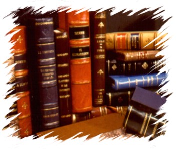 20070507192905-imag-biblioteca.jpg